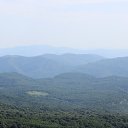 ���� �����, ������, 41 ��� - ��������� 18 ������ 2017 � ������ ������� 2016�