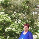 ���� ��������, ������-��-���� - ��������� 10 �������� 2016 � ������ ���� ����������