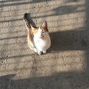 ���� Hasmik, ������, 50 ��� - ��������� 26 �������� 2016 � ������ ���� ����������