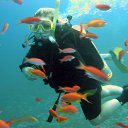 ���� ������, ������ - ��������� 23 ������� 2016 � ������ ����� ��� �������