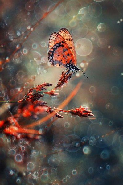 Что бы ни случилось – верь в себя, верь в жизнь, верь в завтрашний день, верь во все, что ты ... - 2