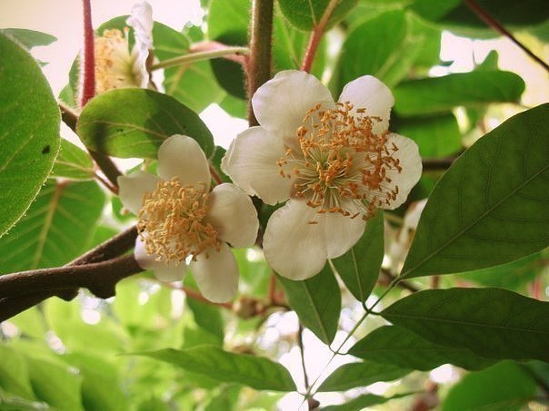   .        .      ... - 4