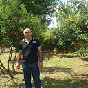 ���� �����, ������ - ��������� 7 ������ 2017 � ������ ���� ����������