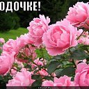 ���� �������, ������, 67 ��� - ��������� 29 �������� 2016 � ������ ������ ��������