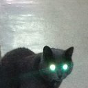 ���� ������, ������� ����� , 65 ��� - ��������� 8 ����� 2017 � ������ ���� ����������