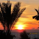 ���� �������, �����-��������� - ��������� 11 ������� 2016 � ������ ���� ����������