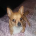 ���� �����, ������, 57 ��� - ��������� 8 ����� 2017 � ������ ���� ����������