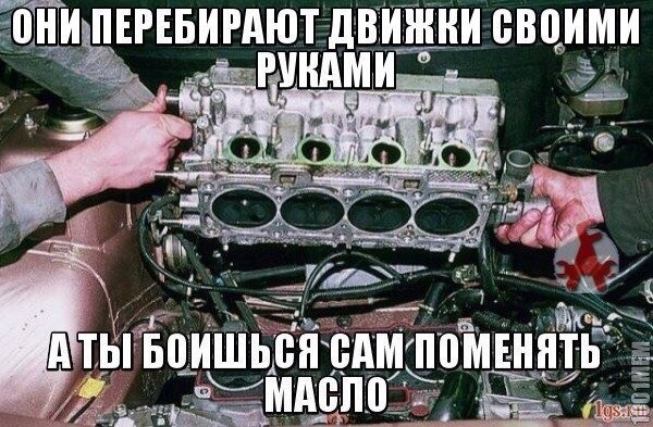 ����, -������� � ����... - 12 �������� 2016 � 14:42