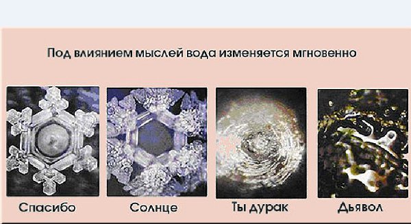 САМЫЙ СМЕРТЕЛЬНЫЙ И ОПАСНЫЙ ЯД НА ЗЕМЛЕ! Какой яд самый опасный на земле? Кто-то скажет — яд змеи, ...