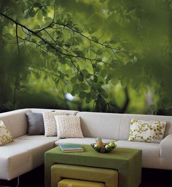 �������� � ���������