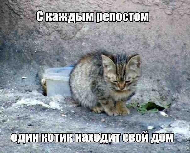 ������ �� ��� :D - 2 ����� 2017 � 17:33