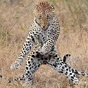 ���� �����, ������������ - ��������� 10 ������� 2016 � ������ ���� ����������