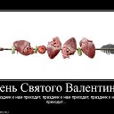 ���� �����, �����-��������� - ��������� 14 ������� 2017 � ������ ������ ��������