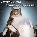 ���� ������, ������ - ��������� 23 ������ 2017