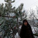 ���� �����, �������, 39 ��� - ��������� 2 ������ 2017 � ������ ������ ��� 2017�