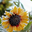 ���� �����, �����, 64 ���� - ��������� 22 ������� 2016 � ������ ������� ���������