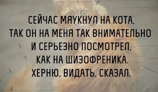   - 9  2016  16:23