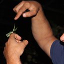 ���� �����, ������ - ��������� 1 ������� 2016 � ������ ���� ����������