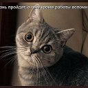 ���� ����, �������-����������, 57 ��� - ��������� 29 ������ 2017 � ������ ���� ����������