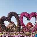 ���� Nelli, ������ - ��������� 24 ������ 2017 � ������ ������ ��������