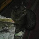 ���� ��������, ����, 70 ��� - ��������� 28 ������� 2017 � ������ ���� ����������