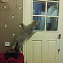  Tahmina,  -  30  2016    