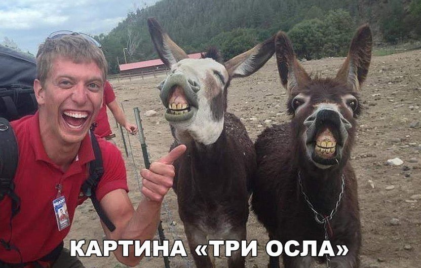 =).......