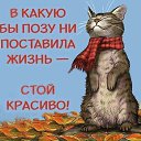 ���� �����, ������������, 53 ���� - ��������� 4 ������ 2017 � ������ ���� ����������