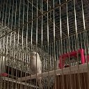 ���� �������, ������, 54 ���� - ��������� 7 ������ 2017 � ������ ���� ����������