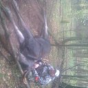 ���� ���������, ����, 55 ��� - ��������� 26 ������� 2017 � ������ ���� ����������