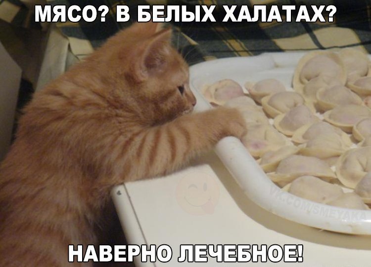    :D - 31  2016  12:34
