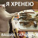 ���� Dmitriy, ���������������, 37 ��� - ��������� 26 ������� 2017 � ������ ������ ��������