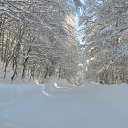  Beso, , 50  -  28  2016    