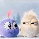 ���� �����, ������ ��������, 43 ���� - ��������� 29 ������ 2017 � ������ ������ ��������