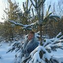 ���� �������, ������� - ��������� 2 ������� 2016