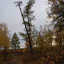 ���� �����, ����� ������� - ��������� 9 ������ 2016 � ������ �����-������߻