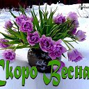 ���� ������� ����������, �������� - ��������� 13 ������� 2017 � ������ ������ ��������