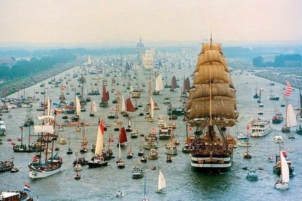   SAIL Amsterdam,     . , 