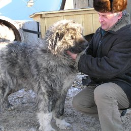 ���� ��������, �����, 66 ��� - ��������� 22 ����� 2017