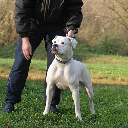 ���� Romych, ������, 52 ���� - ��������� 14 ������ 2016