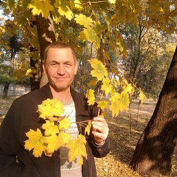 �����, ������ ���, 54 ����