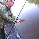 ���� ����, �����������, 41 ��� - ��������� 7 ������� 2016 � ������ ���� ����������