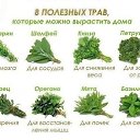 ���� ���������, ���� - ��������� 9 ����� 2017 � ������ �������