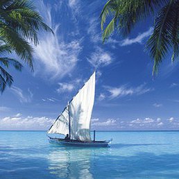 �����, �������, 55 ���