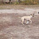 ���� ������, ������, 59 ��� - ��������� 17 ������ 2016 � ������ ���� ����������
