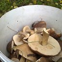 ���� ���� ��������, ��������������, 62 ���� - ��������� 22 ������� 2016 � ������ ���� ����������