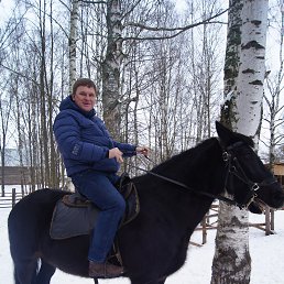 Frenk, ����, 46 ���