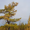 ���� �����, ����� ������� - ��������� 9 ������ 2016 � ������ �����-������߻