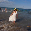 �������� 2016