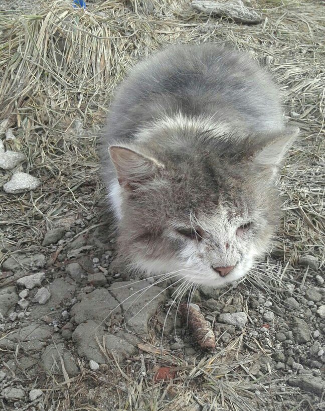 #_.  ,     -  1 -      ...